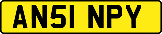 AN51NPY