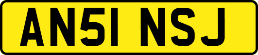 AN51NSJ