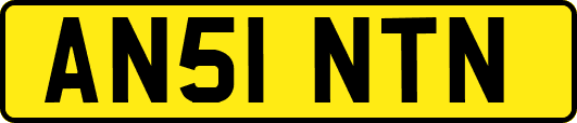AN51NTN