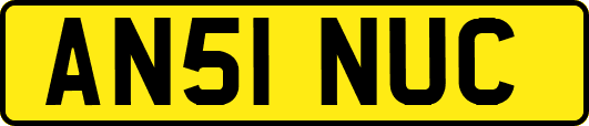 AN51NUC
