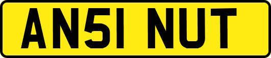 AN51NUT