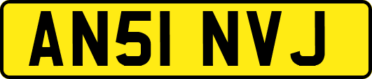 AN51NVJ