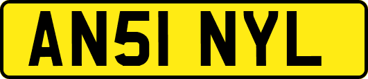 AN51NYL
