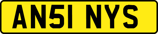 AN51NYS