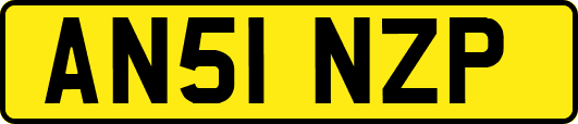 AN51NZP