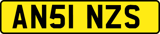 AN51NZS