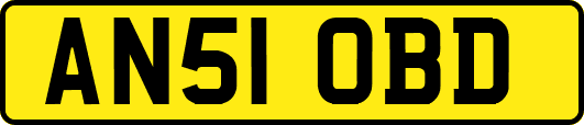 AN51OBD