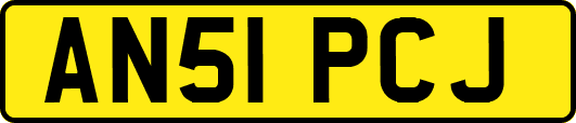 AN51PCJ
