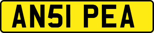 AN51PEA
