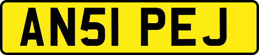 AN51PEJ