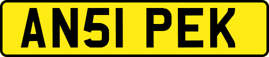 AN51PEK
