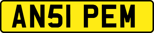 AN51PEM