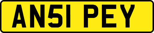 AN51PEY