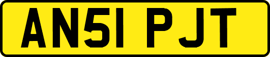 AN51PJT