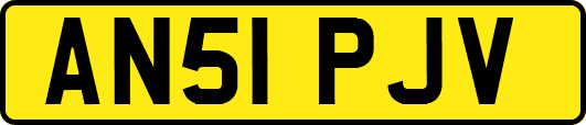 AN51PJV