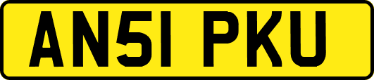 AN51PKU