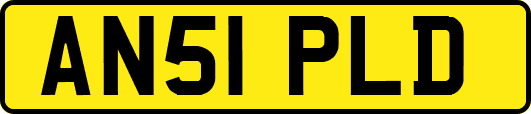 AN51PLD