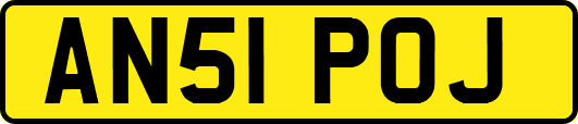 AN51POJ