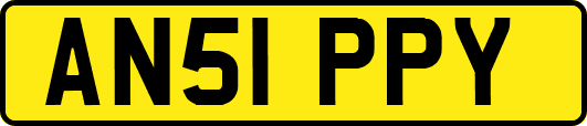 AN51PPY