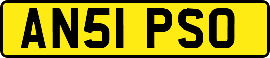 AN51PSO