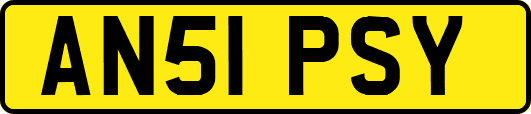 AN51PSY