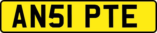 AN51PTE