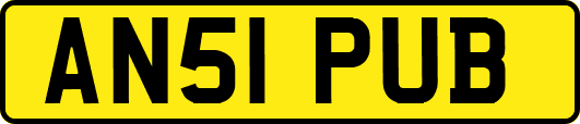 AN51PUB