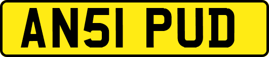 AN51PUD