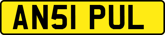 AN51PUL