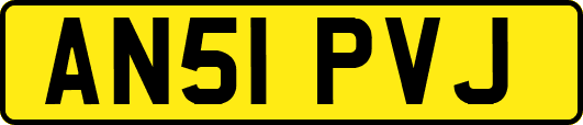 AN51PVJ