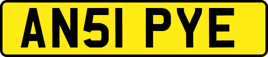 AN51PYE
