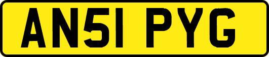AN51PYG