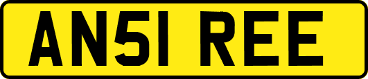 AN51REE