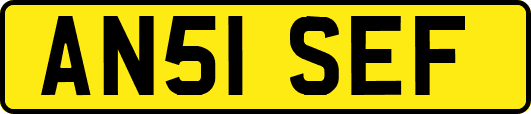 AN51SEF