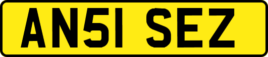AN51SEZ