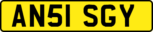 AN51SGY