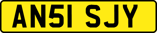 AN51SJY