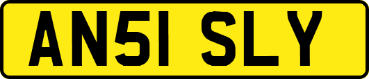 AN51SLY
