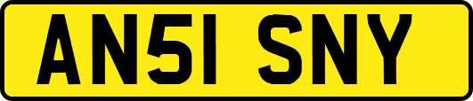 AN51SNY