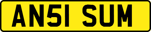 AN51SUM