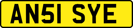AN51SYE