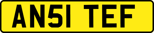 AN51TEF