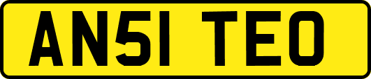 AN51TEO