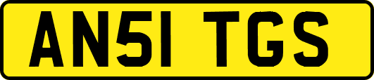AN51TGS