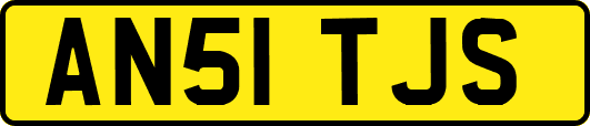 AN51TJS