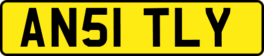 AN51TLY