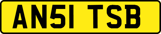 AN51TSB