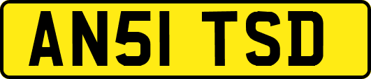 AN51TSD