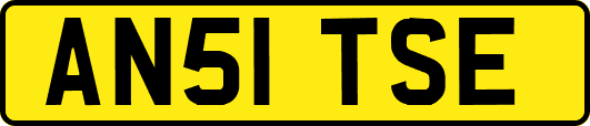 AN51TSE