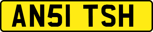 AN51TSH